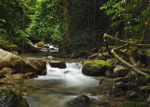 CROCKER RANGE PARK