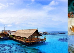 KAPALAI ISLAND