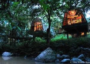 Tabin Wildlife Reserve