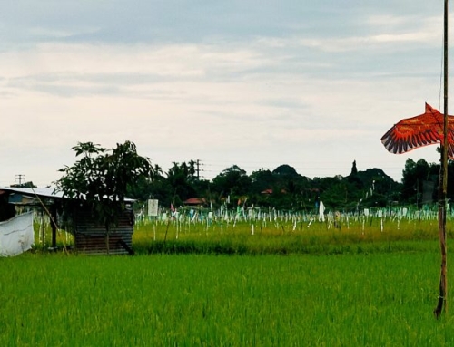 PAPAR NORTH BORNEO OLD TOWN TRAIN TOUR